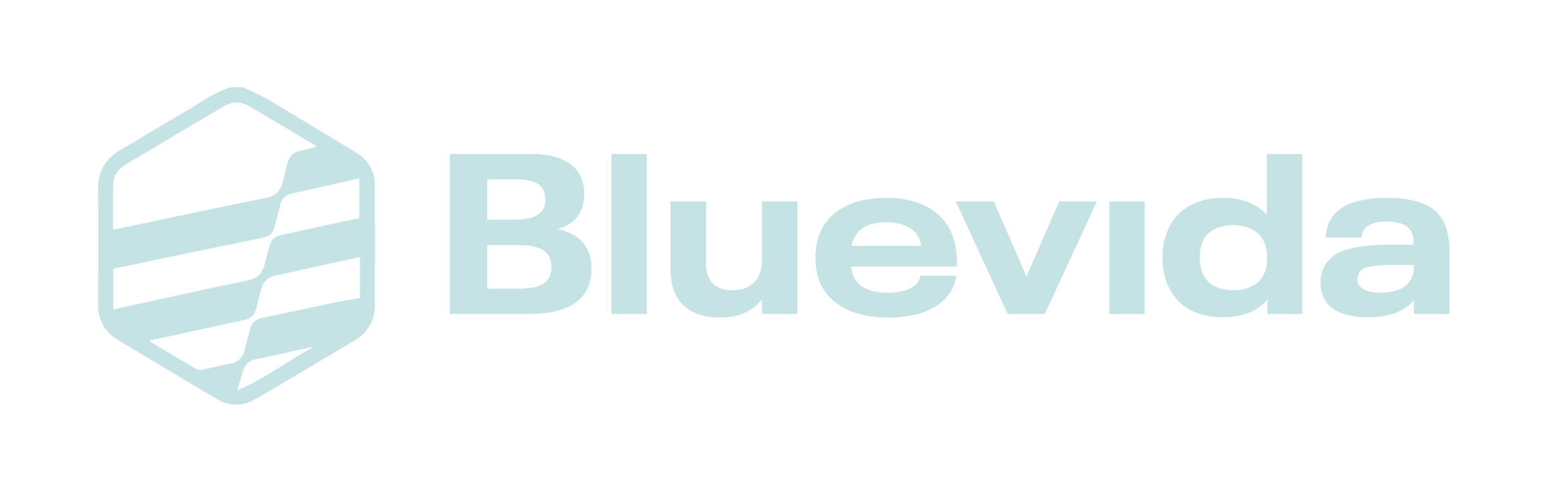 Bluevida Icon